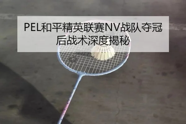 PEL和平精英联赛NV战队夺冠后战术深度揭秘