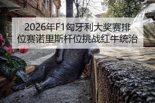 nian-xiong-ya-li-da-jiang-sai-pai-wei-sai-nuo-li-si-gan-wei-tiao-zhan-hong-niu-tong-zhi-2-730.jpg